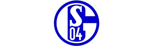 FC Schalke 04