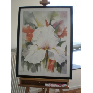 Kunstdruck "Elaine Jackson - Iris"