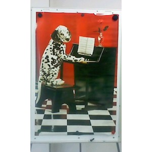 Poster - Hund spielt Klavier