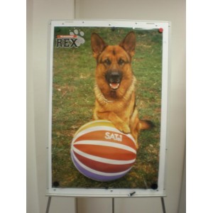 Poster - Kommissar REX
