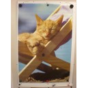 Poster - Katze