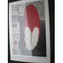 Robert Offord "red feather notebook" 