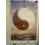 Poster - Ying & Yang