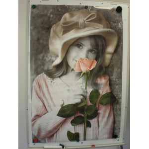 Poster - Mädchen mit Rose
