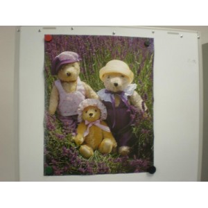 Poster - Teddys