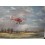 Flugzeug im Herbst