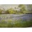 Kunstdruck "Blumenwiese"