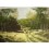 Kunstdruck "Reh im Wald"