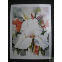 Kunstdruck - Weiße Blume
