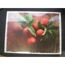 Kunstdruck - Äpfel
