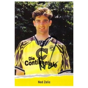 Zelic Ned